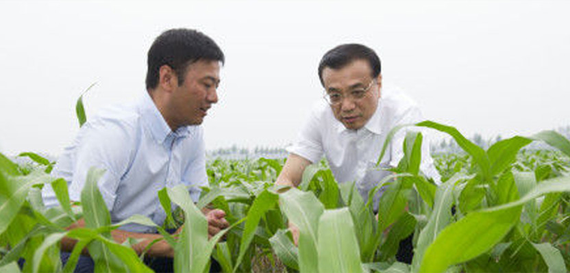 一號(hào)文件解讀：中國(guó)要強(qiáng) 農(nóng)業(yè)必須強(qiáng)