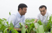 一號(hào)文件解讀：中國(guó)要強(qiáng) 農(nóng)業(yè)必須強(qiáng)